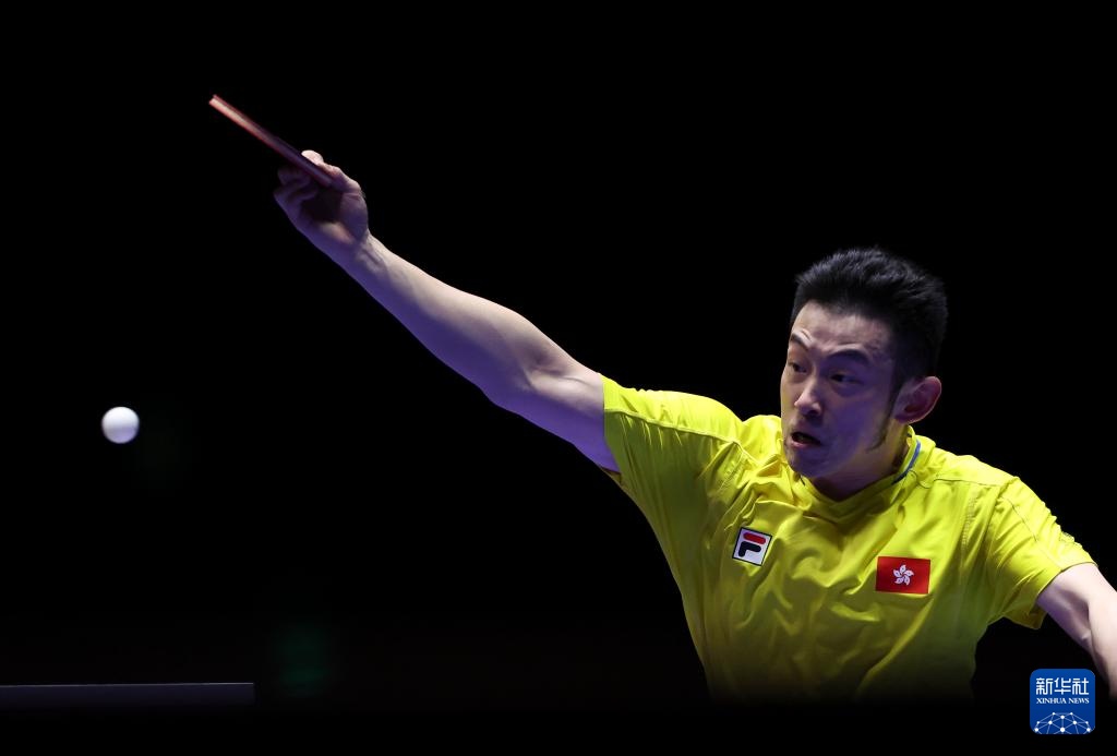 的世界里 的世界里