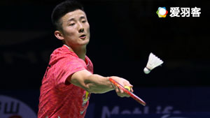 参与其中 参与其中