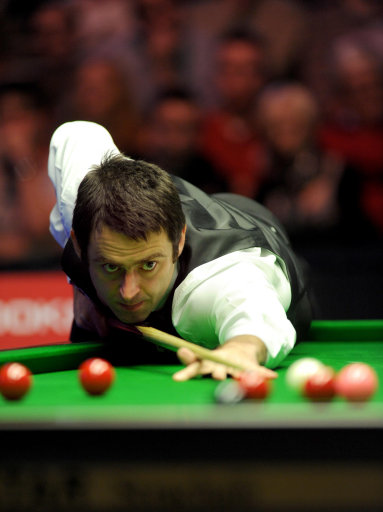 年长约的球 年长约的球