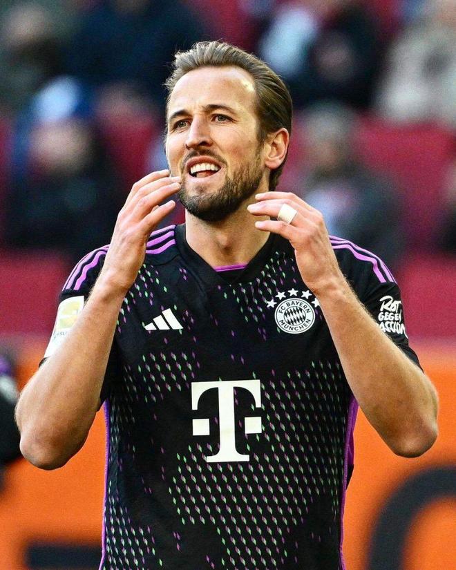 拍师的回归 拍师的回归